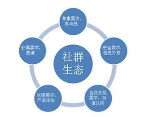 求索中国 社群营销的商业模式设计